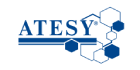 logo_partner_atesy